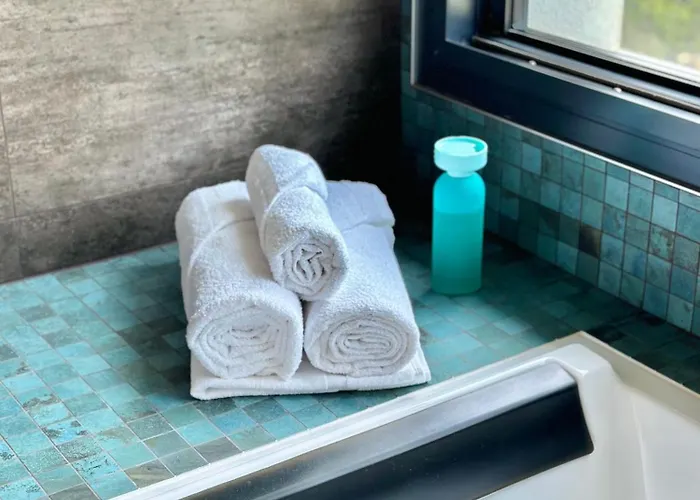 Marion Biarritz, 3 Et Piscine